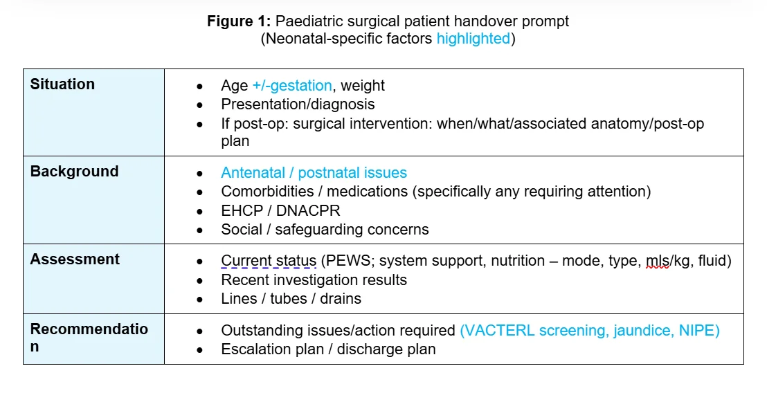 Paediatric Surgical Patient Handover Prompt