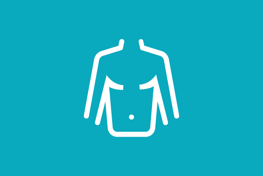 Abdomen