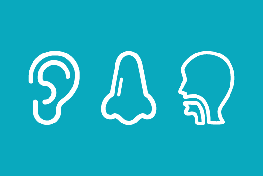 Ear, Nose and Throat (ENT)