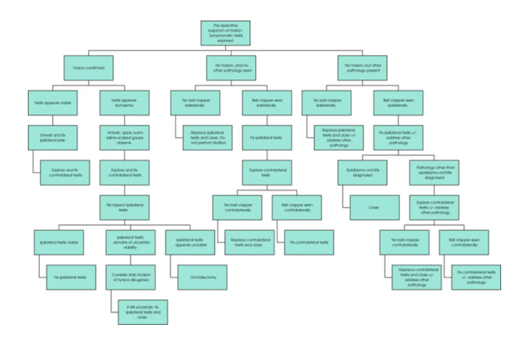 Testicular Torsion
