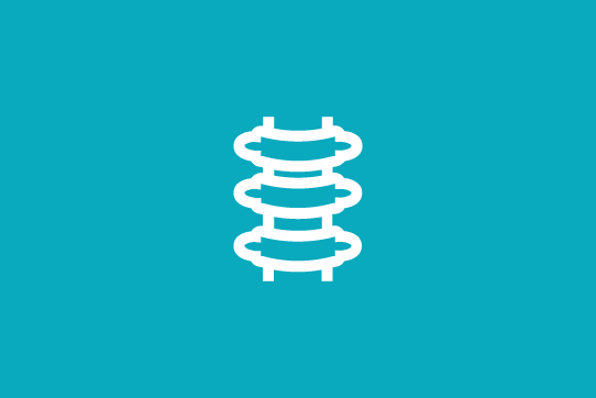 Spine 