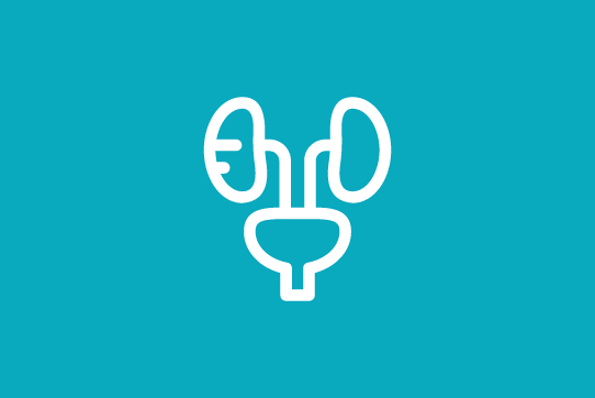 Kidneys, Prostate and Bladder